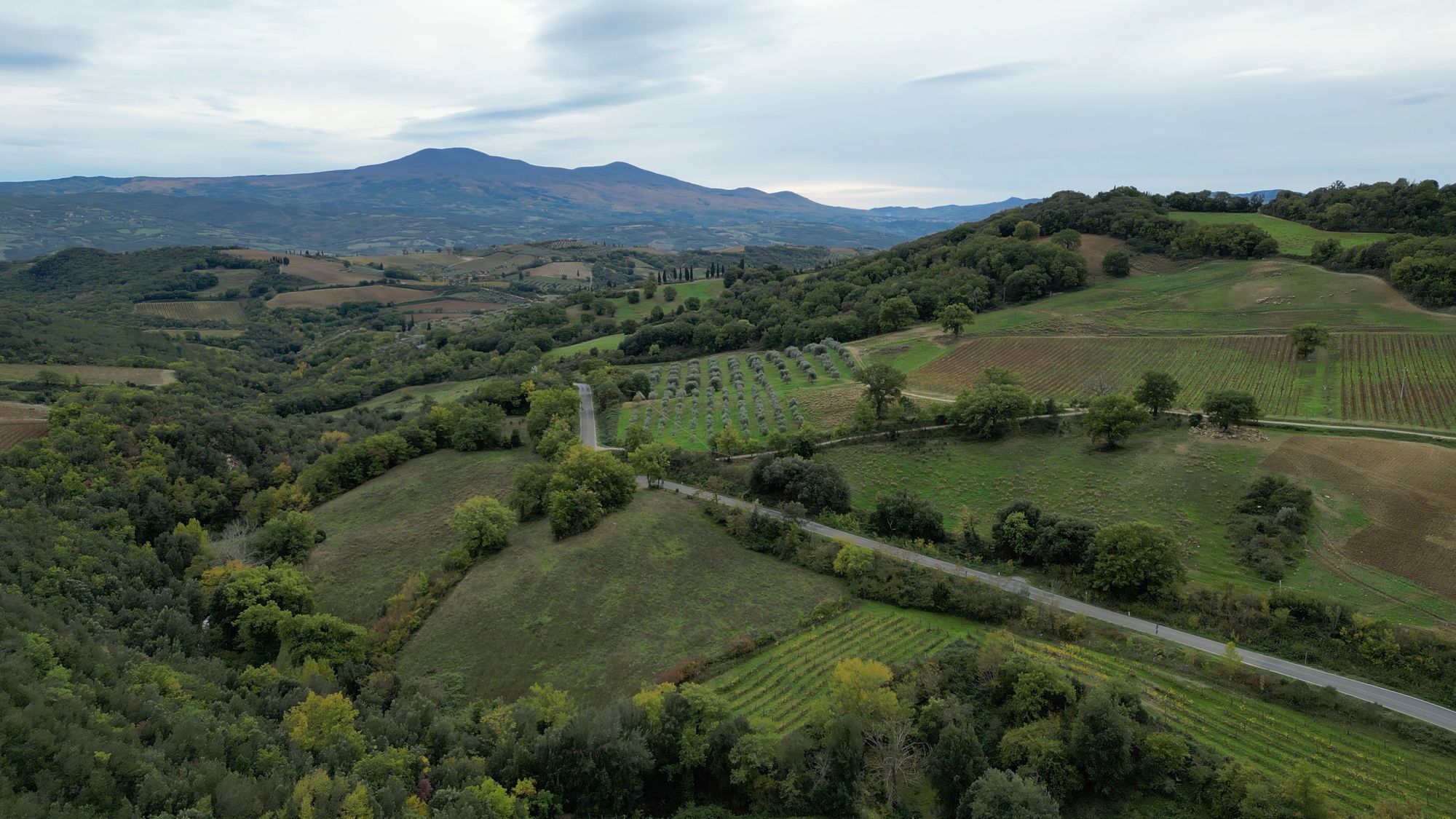 Terroir Drone — Brunello di Montalcino DOCG